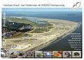 0146 Sankt Peter Luftbild Strand & Watt  Lb5441